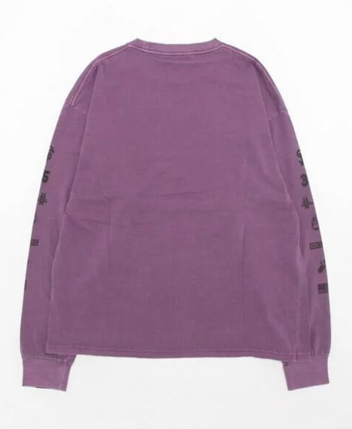 (現貨) BEN DAVIS JP PIGMENT DYE LONG SLEEVE PRINT TEE